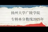 扬州大学广陵学院专转本分数线2025年