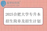 2025合肥大学专升本招生简章及招生计划