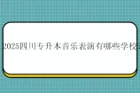 2025四川专升本音乐表演有哪些学校？