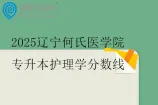 2025辽宁何氏医学院专升本护理学分数线409分