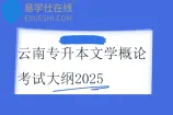 云南专升本文学概论考试大纲2025
