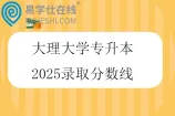 大理大学专升本2025录取分数线