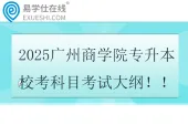 2025广州商学院专升本校考科目考试大纲