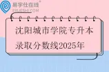 沈阳城市学院专升本录取分数线2025年