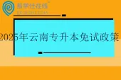 2025年云南专升本免试政策