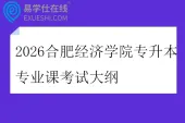 2026合肥经济学院专升本专业课考试大纲