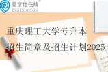 重庆理工大学专升本招生简章及招生计划2025