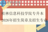 桂林信息科技学院专升本2026年招生简章及招生专业