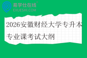 2026安徽财经大学专升本专业课考试大纲