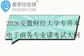 2026安徽财经大学专升本电子商务专业课考试大纲