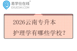 2026云南专升本护理学有哪些学校？