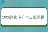 2026湖南专升本志愿填报政策