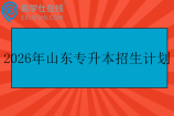 2026年山东专升本招生计划表