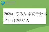 2026山东政法学院专升本招生计划380人