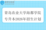 青岛农业大学海都学院专升本2026年招生计划