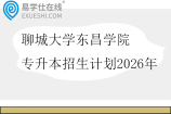 聊城大学东昌学院专升本招生计划2026年